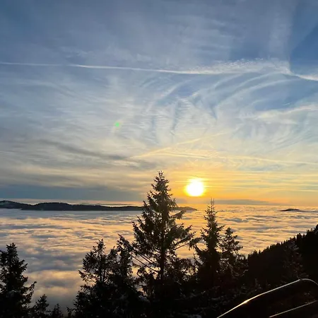 Lejlighed Bayerischer Wald Haus 23 Seeblick Oben Mit Dachgeschoss